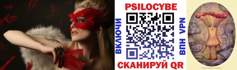 Псилоцибиновые грибы MAGIC MUSHROOMS  закладки  Духовщина 